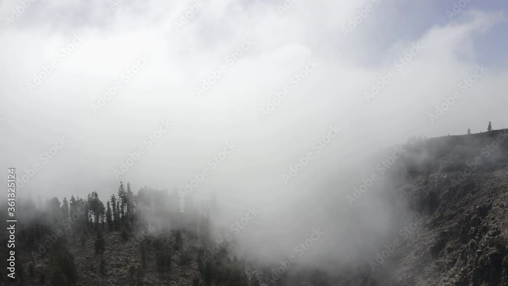 Fly above clouds and trees in Teide National Park Tenerife drone Fly above clouds and trees in Teide National Park Tenerife drone
