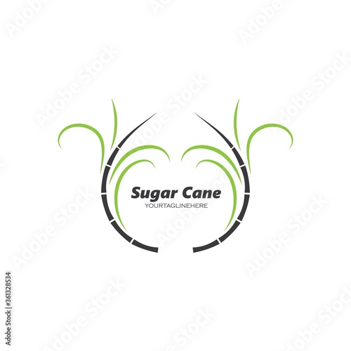 sugar cane vector icon illustration