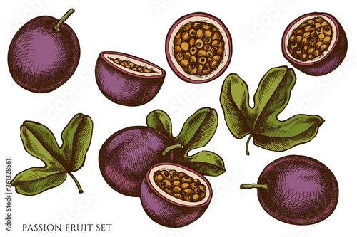 Vector set of hand drawn colored passion fruit