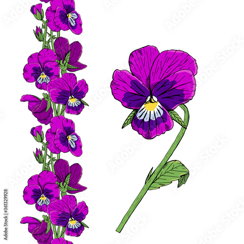 Hand drawn pansy flowers seamless brush. Floral endless border. Isolated on white background. Vector