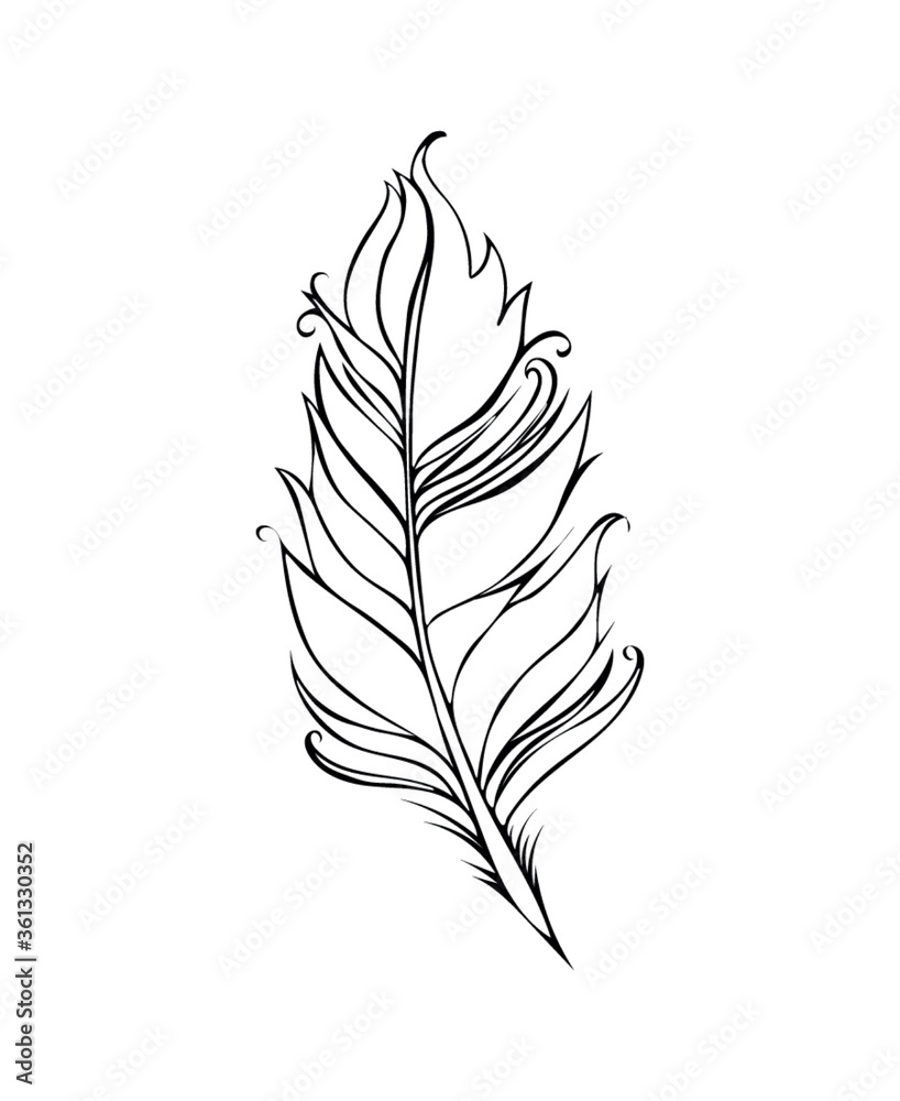 Feather isolated on white background. Vector illustration. Black Lined drawing