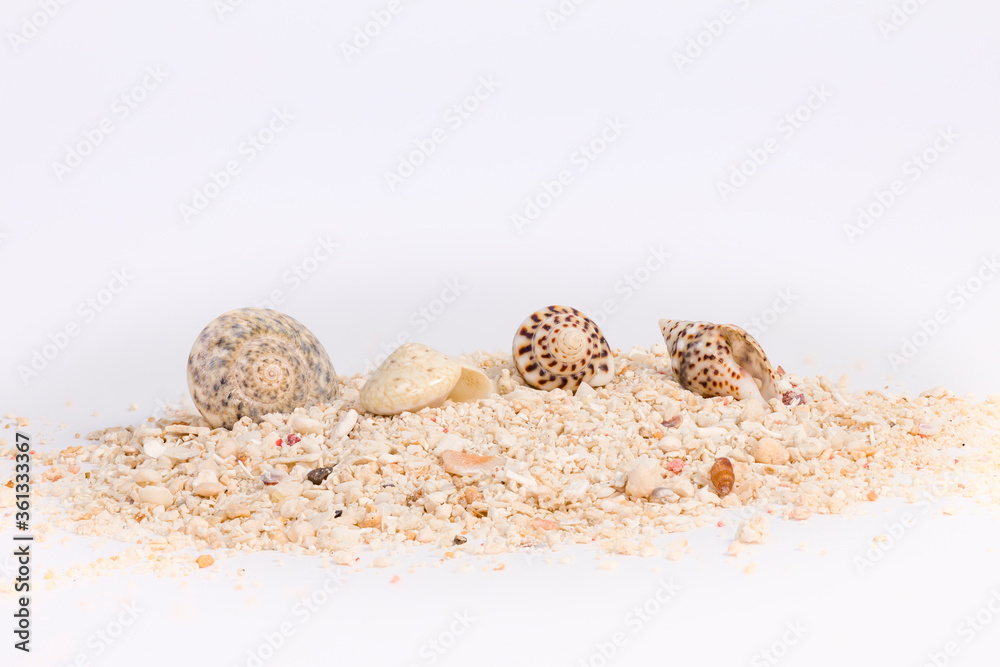 Nahaufnahme von einem Häufchen Meeressand mit kleinen und großen Muschel isoliert vor weißem Hintergrund Nahaufnahme von einem Häufchen Meeressand mit kleinen und großen Muschel isoliert vor weißem Hintergrund