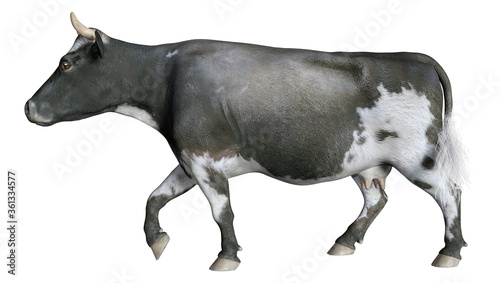 3D Rendering Cow on White