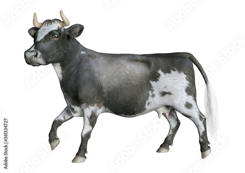 3D Rendering Cow on White
