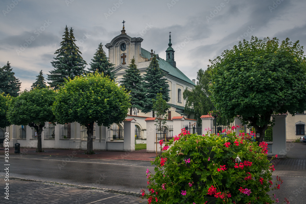 Church of the Immaculate Conception of the Blessed Virgin Mary in Gora Kalwaria, Masovia, Poland