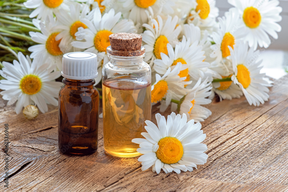 Bottles of essential oil and chamomile flowers on wooden table. Essential oil in a glass bottle with fresh chamomile flowers, beauty treatments. Spa concept. Bottles of essential oil and chamomile flowers on wooden table. Essential oil in a glass bottle with fresh chamomile flowers, beauty treatments. Spa concept.