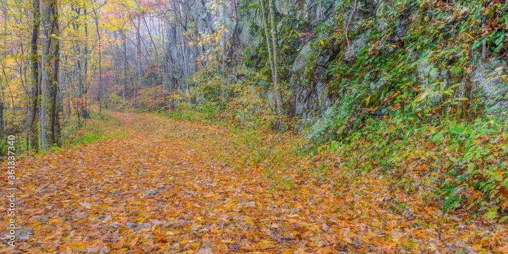 Trail in Great smoky Mountains National Park Stock Photo | Adobe Stock