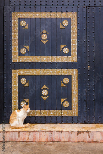 An orange and white cat sits in front of a detailed, patterned wall in Essaoiura, Morocco photo