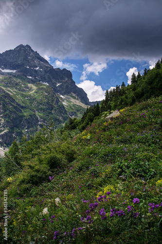 Alpine meadows in the sunlight and large magnificent rocks of the Caucasus  © Nataliya