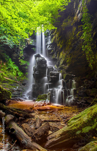 waterfall in the forest