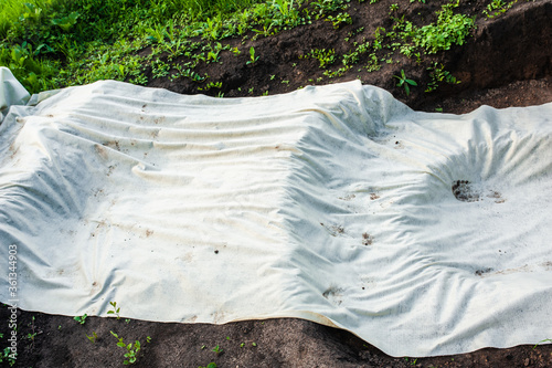 A canvas of white geotextile lies on the green grass outside photo