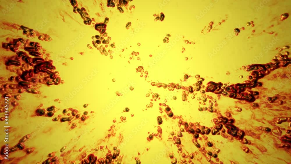 abstract bubbles yellow paint seethes and moves. looped animation background abstract bubbles yellow paint seethes and moves. looped animation background