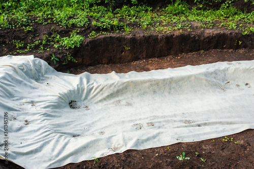A canvas of white geotextile lies on the green grass outside