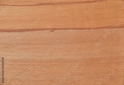 Beech wood beauty texture as a nice background 