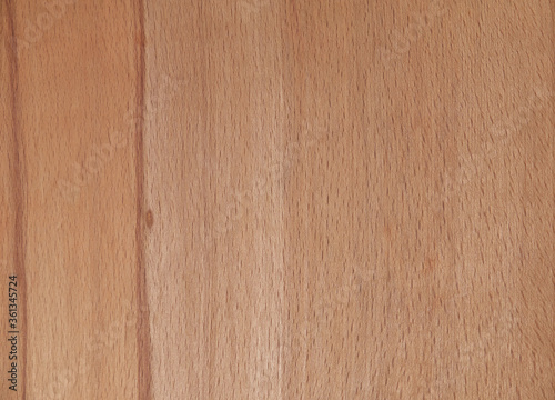 Beech wood beauty texture as a nice background 