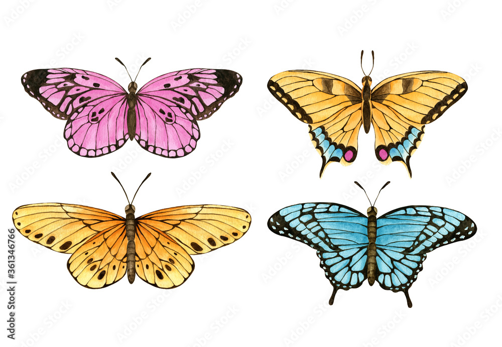 Naklejka premium Watercolor butterfly set