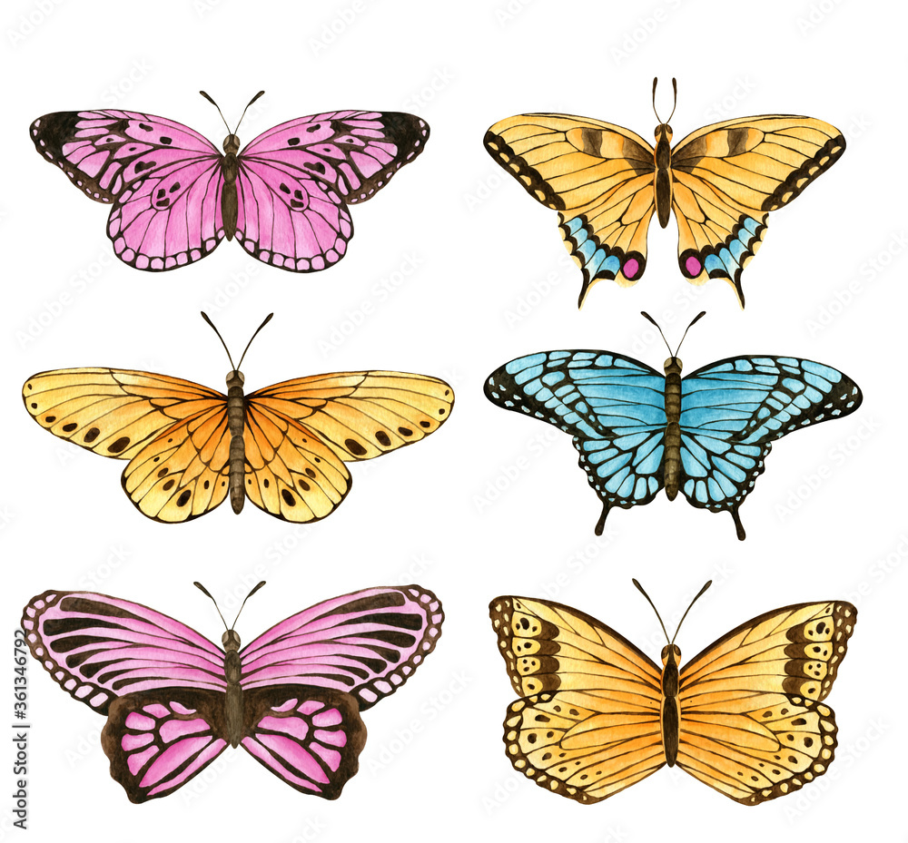 Naklejka Watercolor butterfly set