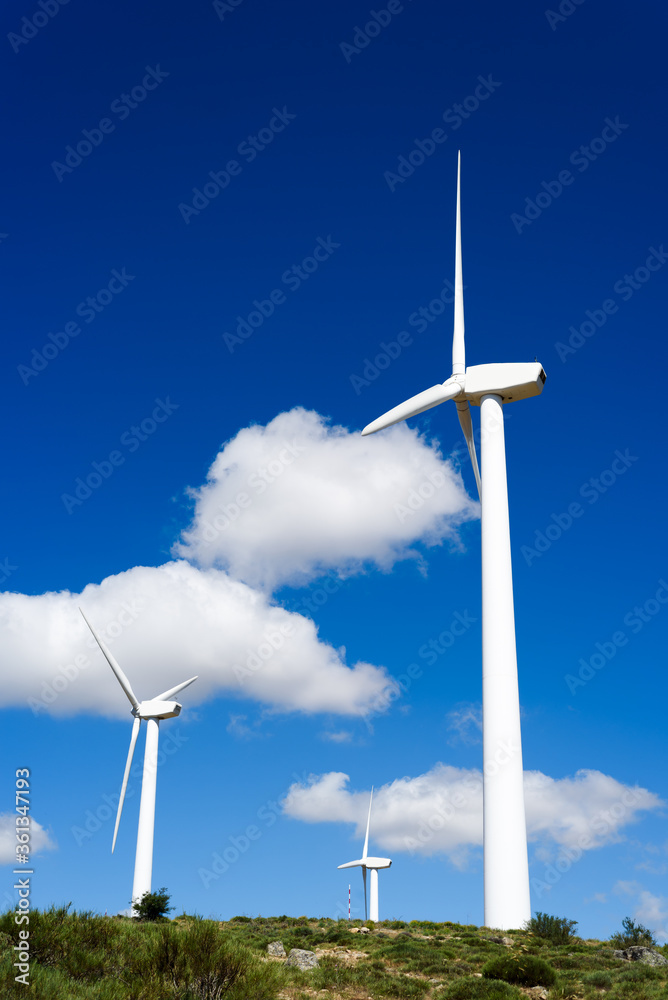 Wind turbines generating electricity on hill against blue sky with white clouds. Concept eco clean energy production, renewable energy Wind turbines generating electricity on hill against blue sky with white clouds. Concept eco clean energy production, renewable energy