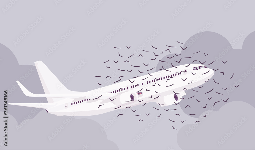 Passenger plane bird flock strike, ingestion and civil aircraft engine