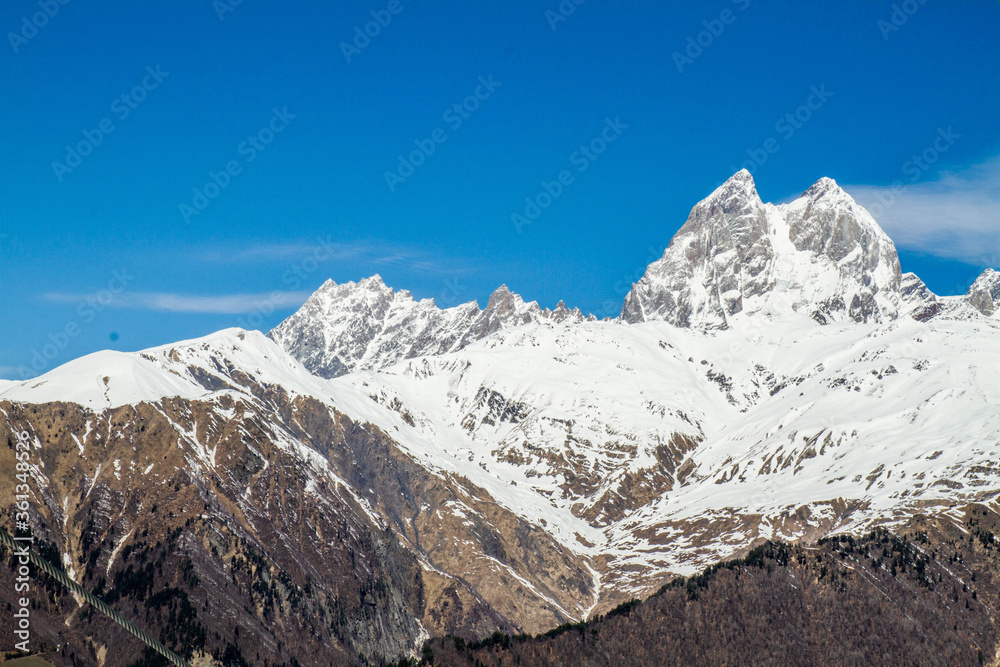 panorama of Georgia mountains Uzhba and snow hat glaicer