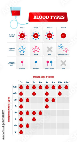 Blood group types vector illustration