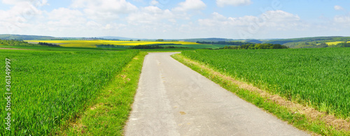 Frühlingslandschaft mit Feldwirtschaftsweg bei Raversbeuren im Hunsrück 