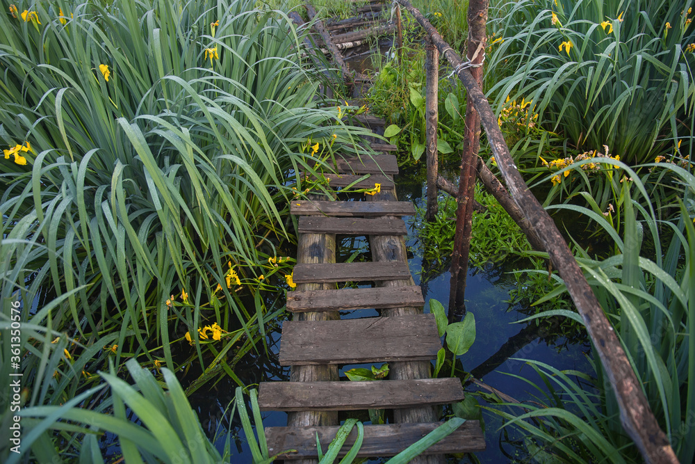 Obraz premium wooden bridge over a stream surrounded by wild irises