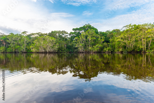 Amazon Rainforest reflection in a lagoon. The Amazon river basin comprise the countries of Brazil, Bolivia, Colombia, Ecuador, Guyana, Suriname, Peru and Venezuela.
