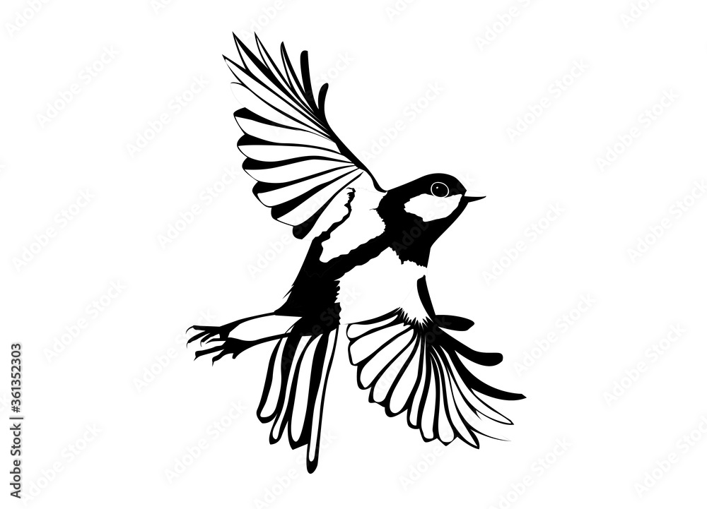 Fototapeta premium Mésange seul en noir et blanc