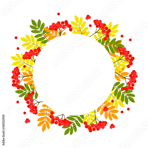 Autumn background with rowan leaves and berries. White circle of paper on an autumn background for your information.