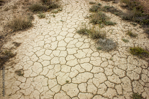 Crackles on a very dry desert soil, sand with desert grass. Texture background.