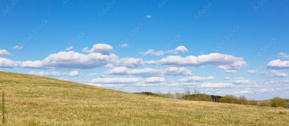 Yellowed grass due to dry weather against a blue sky in sunny weather. Dangerous situation probability of natural fires due to drought. Nature expects rain.