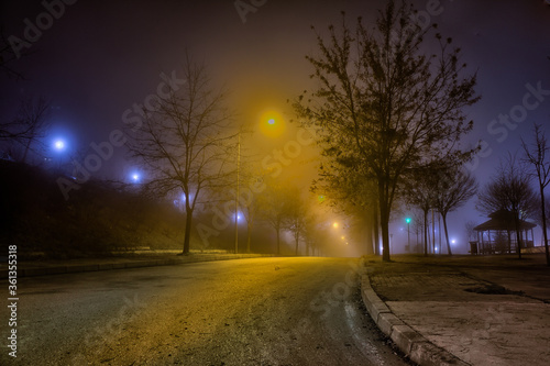 foggy night road in the city