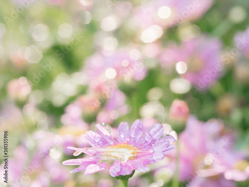 little pink flower in close up with raindrop in green background for space