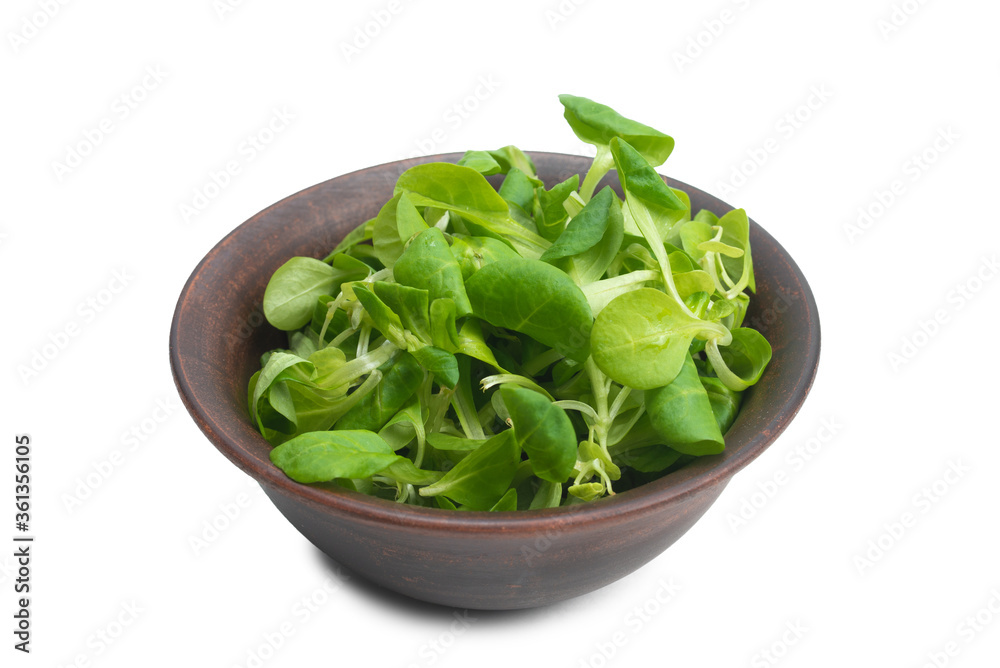 Mash salad in ceramic brown bowl isolated on white. Mash salad in ceramic brown bowl isolated on white.