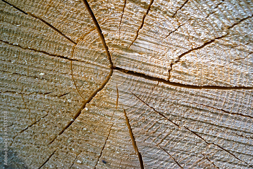 Fototapeta premium Texturen.