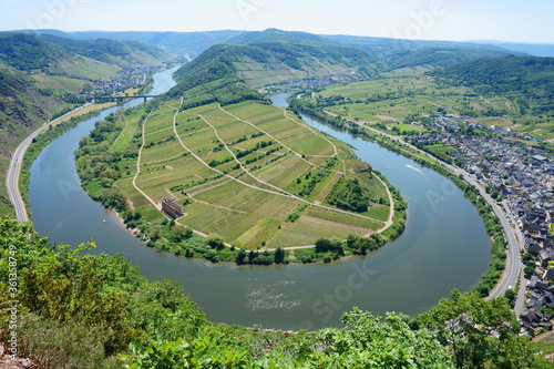 Fotografija Flusssbiegung mit Weinbergen