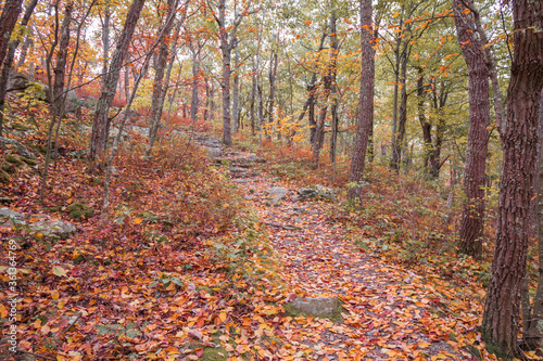 Appalachian Trail at High Point State Park NJ with brilliant fall foliage 