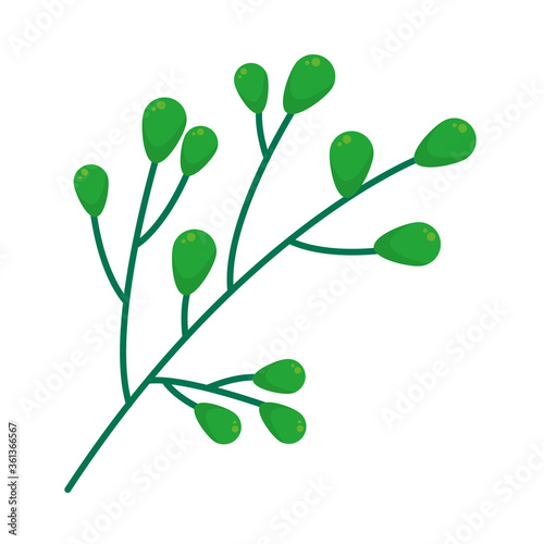 branch with green berries icon, colorful design © Jeronimo Ramos