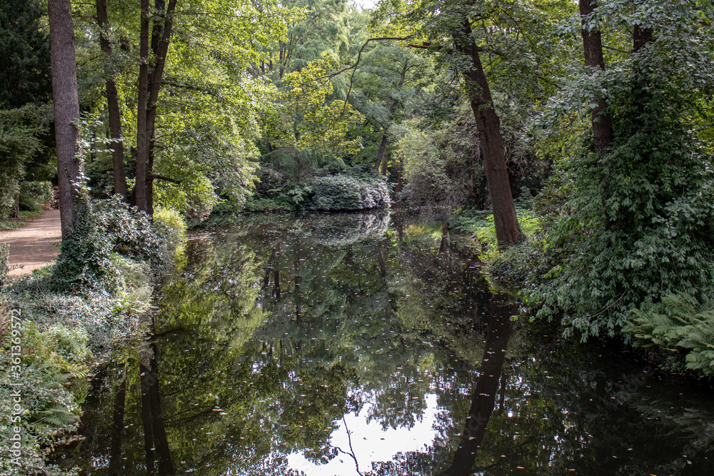 View from the jungle-like Leipzig Riverside Forest with the rivers Weisse Elster and Luppe with wild river landscapes, Germany View from the jungle-like Leipzig Riverside Forest with the rivers Weisse Elster and Luppe with wild river landscapes, Germany
