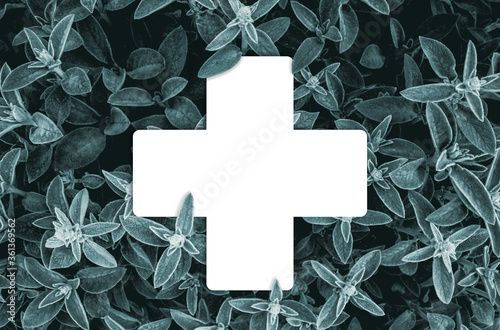 Medical cross on background texture of natural leaves in dark green. Stachys byzantina.