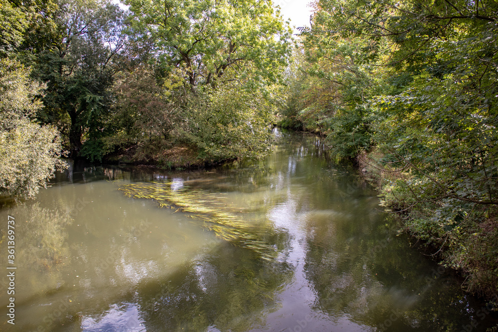 View from the jungle-like Leipzig Riverside Forest with the rivers Weisse Elster and Luppe with wild river landscapes, Germany