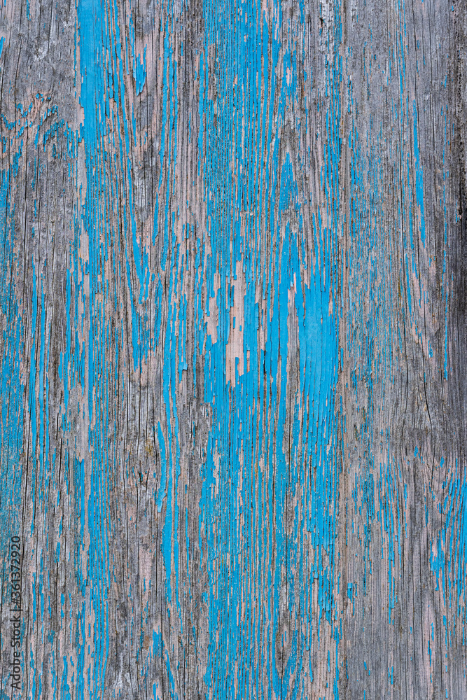 Close-up of weathered and worn wooden panel with blue flaking paint