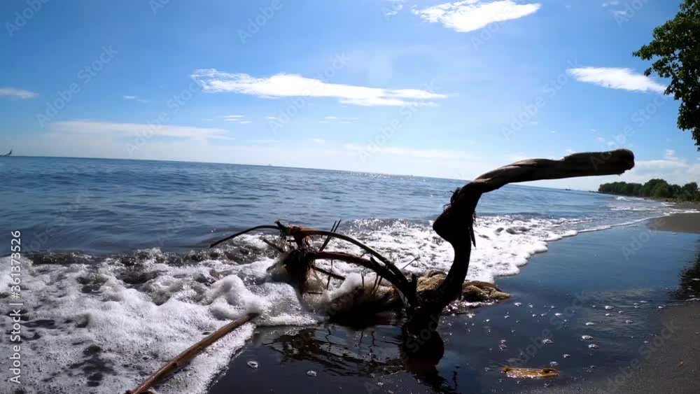 Driftwood wrapped in Garbage sunken in sand in Bali