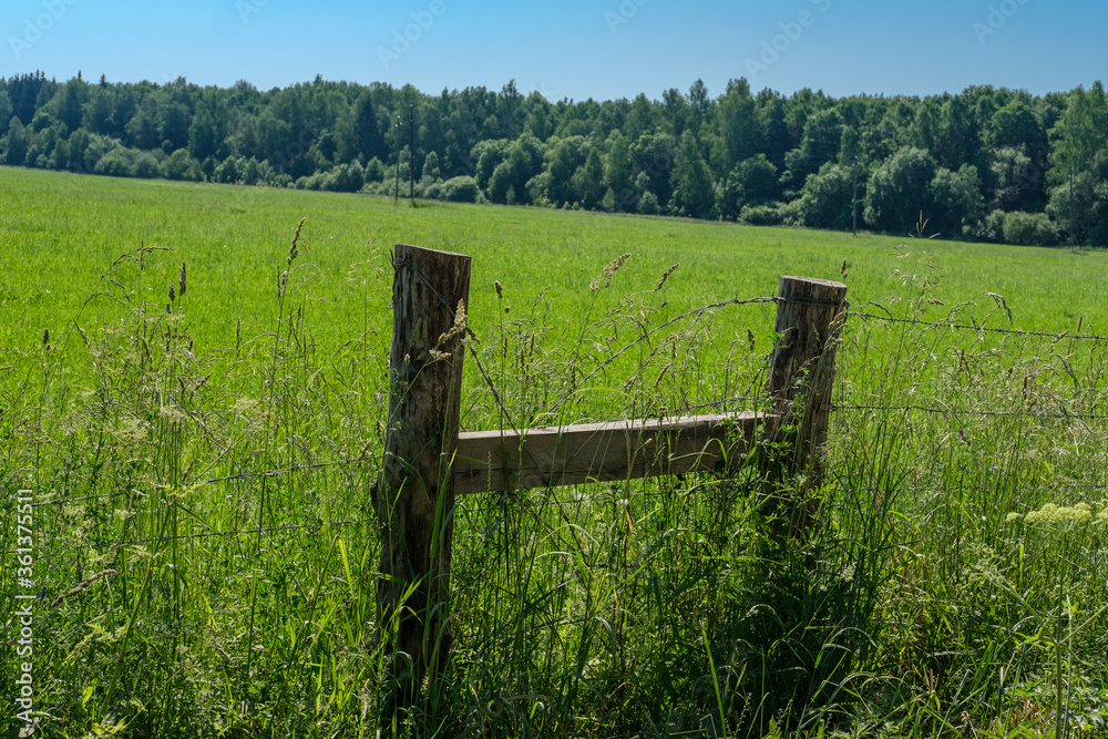 A fence made of logs and barbed wire for livestock in a pasture with green grass surrounded by forest.