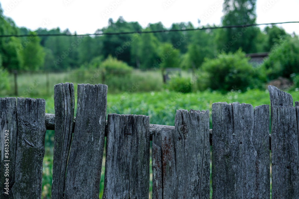 Old rustic fence made of planks overlooking the garden and forest.