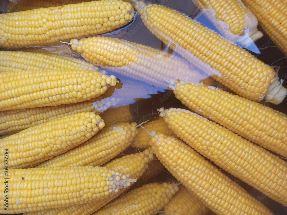 Boiled sweet corn in water tasty healthy food Boiled sweet corn in water tasty healthy food