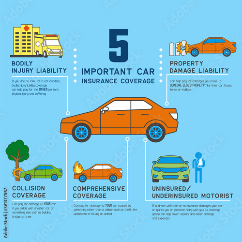 car insurance info graphic for business insurance. vector illustration