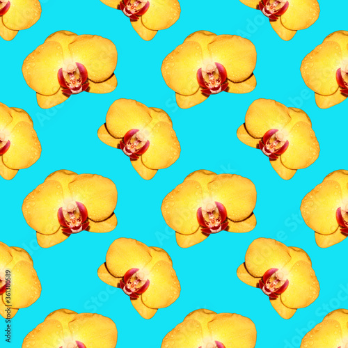 Seamless pattern of yellow Orchid flowers. Flowers for the background. Flowers on a blue background.