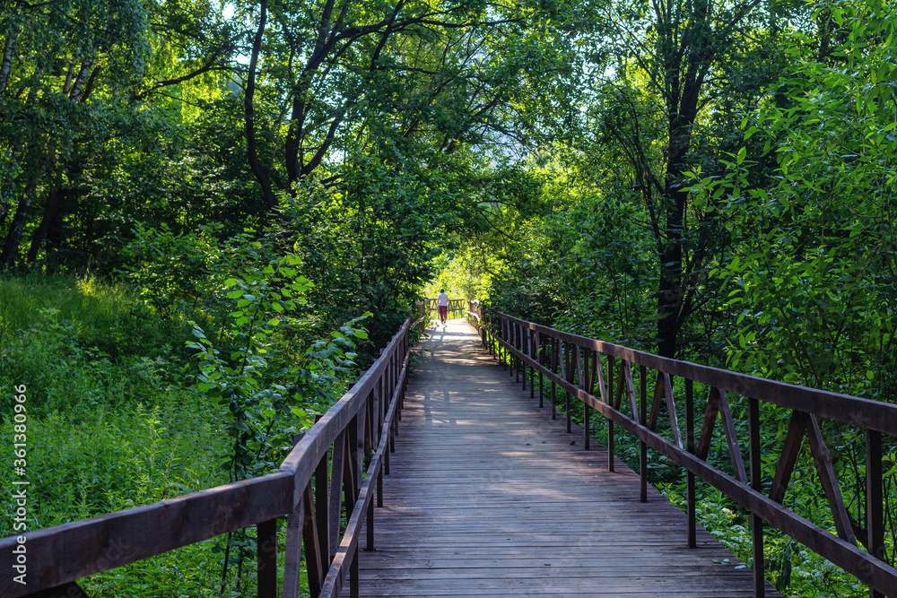 Pedestrian bridge in a city Park, surrounded by trees and shrubs, with the silhouette of a woman with sticks for Nordic walking Pedestrian bridge in a city Park, surrounded by trees and shrubs, with the silhouette of a woman with sticks for Nordic walking